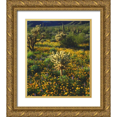 Arizona, Organ Pipe Cactus NM flowers and cacti Gold Ornate Wood Framed Art Print with Double Matting by Talbot Frank, Christopher