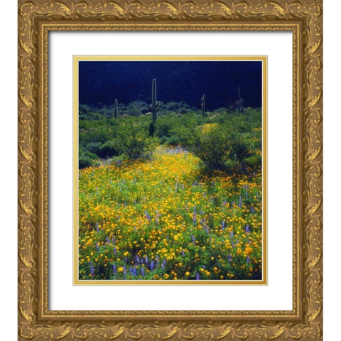 AZ, Organ Pipe Cactus NM flowers and Saguaro Gold Ornate Wood Framed Art Print with Double Matting by Talbot Frank, Christopher