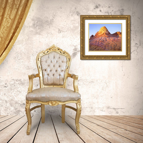 Arizona, Paria Canyon Gold Ornate Wood Framed Art Print with Double Matting by Talbot Frank, Christopher
