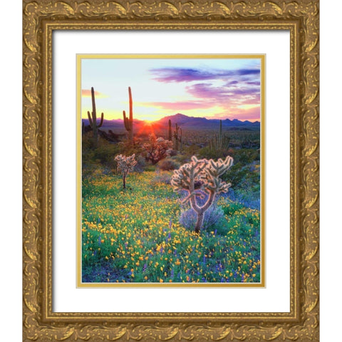 AZ, Organ Pipe Cactus NP, Flowers and cacti Gold Ornate Wood Framed Art Print with Double Matting by Talbot Frank, Christopher