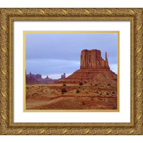 Arizona Sandstone formations in Monument Valley Gold Ornate Wood Framed Art Print with Double Matting by Talbot Frank, Christopher