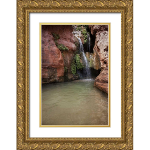Arizona, Grand Canyon NP View of Elves Chasm Gold Ornate Wood Framed Art Print with Double Matting by Grall, Don