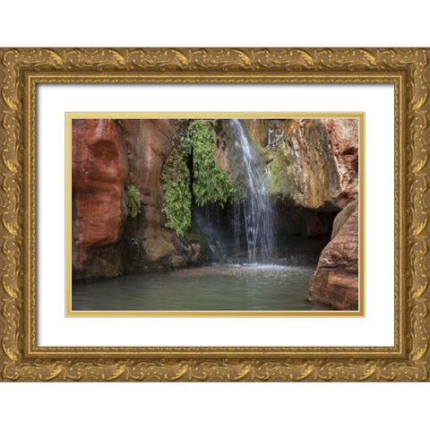 Arizona, Grand Canyon NP View of Elves Chasm Gold Ornate Wood Framed Art Print with Double Matting by Grall, Don