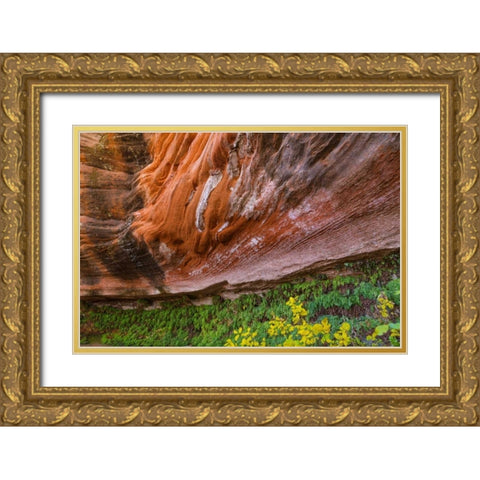 Arizona Hanging Garden in Canyon X Gold Ornate Wood Framed Art Print with Double Matting by Paulson, Don