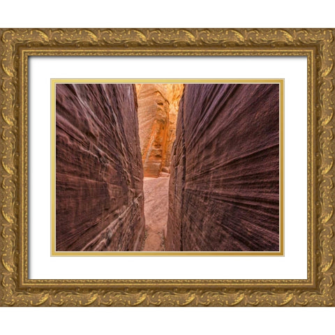 AZ, Canyon X Formations in eroded sandstone rock Gold Ornate Wood Framed Art Print with Double Matting by Paulson, Don