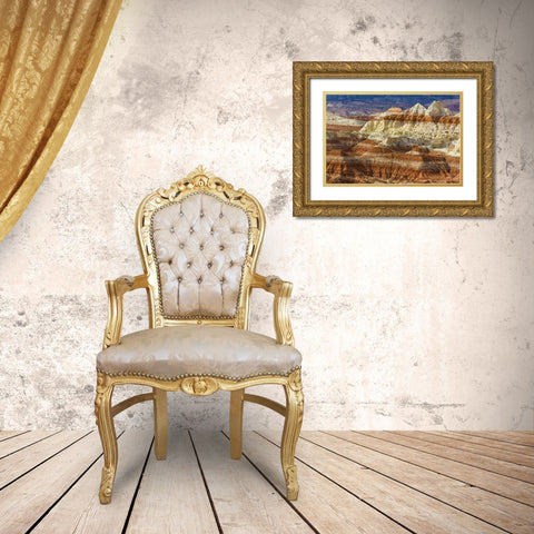 Arizona A desert area called Toad Stools Gold Ornate Wood Framed Art Print with Double Matting by Paulson, Don