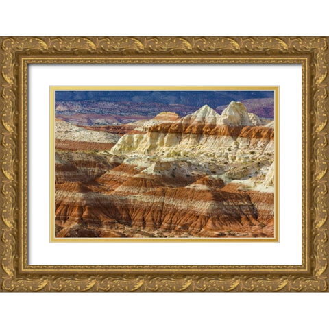 Arizona A desert area called Toad Stools Gold Ornate Wood Framed Art Print with Double Matting by Paulson, Don