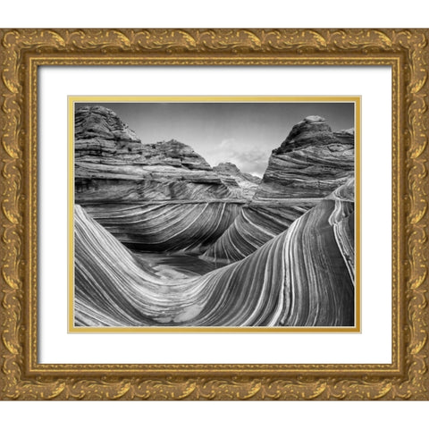 AZ, Vermilion Cliffs, Paria Canyon The Wave Gold Ornate Wood Framed Art Print with Double Matting by Flaherty, Dennis
