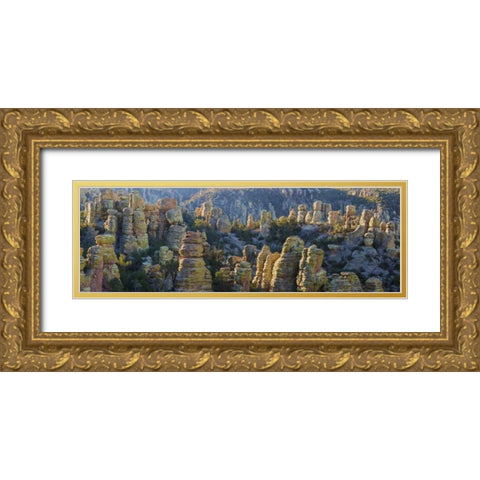 AZ, Chiricahua NM Panoramic of rocky landscape Gold Ornate Wood Framed Art Print with Double Matting by Paulson, Don