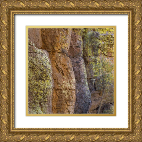 Arizona, Chiricahua National Monument Cliff face Gold Ornate Wood Framed Art Print with Double Matting by Paulson, Don