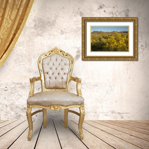 USA, Arizona, Saguaro NP Desert landscape Gold Ornate Wood Framed Art Print with Double Matting by Illg, Cathy and Gordon
