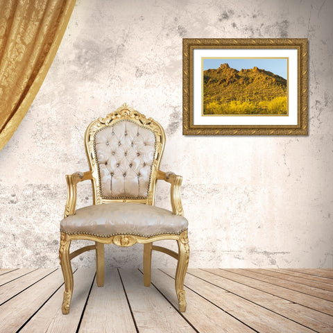 Arizona, Sonoran Desert Saguaro and palo verde Gold Ornate Wood Framed Art Print with Double Matting by Illg, Cathy and Gordon