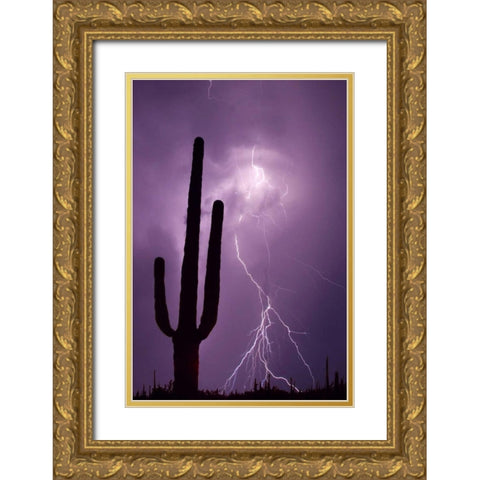 Arizona Saguaro cactus and lightning Gold Ornate Wood Framed Art Print with Double Matting by Zuckerman, Jim