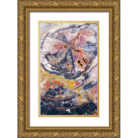 Arizona, Petrified Forest Petrified wood detail Gold Ornate Wood Framed Art Print with Double Matting by Delisle, Gilles