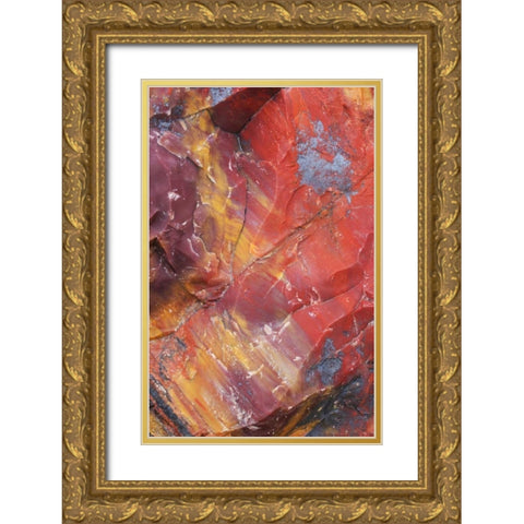 Arizona, Petrified Forest Petrified wood detail Gold Ornate Wood Framed Art Print with Double Matting by Delisle, Gilles