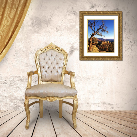 Arizona-Grand Canyon National Park South Rim of canyon  Gold Ornate Wood Framed Art Print with Double Matting by Jaynes Gallery