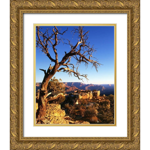 Arizona-Grand Canyon National Park South Rim of canyon  Gold Ornate Wood Framed Art Print with Double Matting by Jaynes Gallery