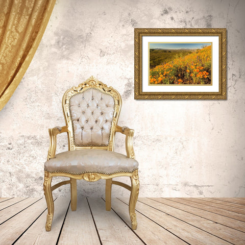 Arizona-Peridot Mesa California poppies in bloom Gold Ornate Wood Framed Art Print with Double Matting by Jaynes Gallery