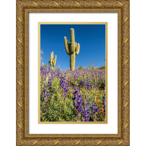 Arizona-Peridot Mesa Saguaro cactus and lupine flowers Gold Ornate Wood Framed Art Print with Double Matting by Jaynes Gallery