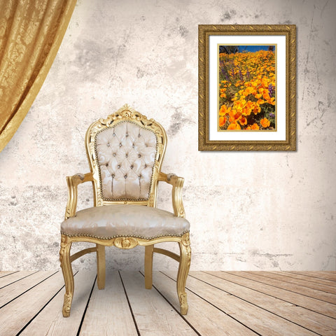 Arizona-Peridot Mesa California poppies in bloom Gold Ornate Wood Framed Art Print with Double Matting by Jaynes Gallery