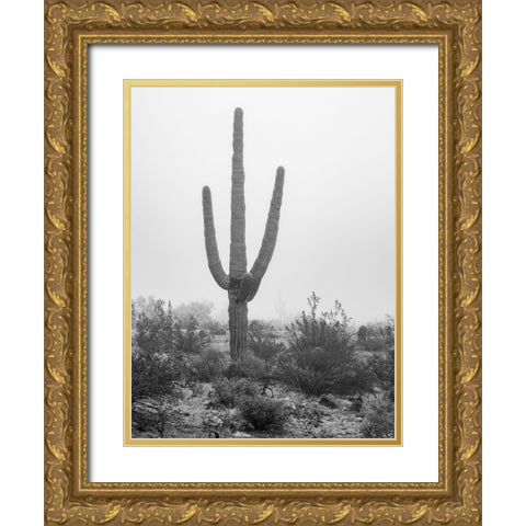 Arizona-Buckeye Black and white of saguaro cactus in fog  Gold Ornate Wood Framed Art Print with Double Matting by Jaynes Gallery