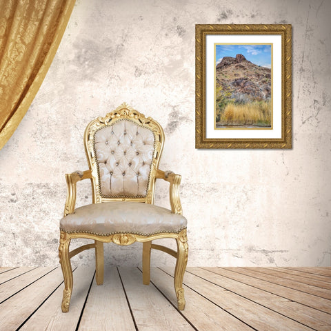 Arizona Ancient petroglyphs on rocks  Gold Ornate Wood Framed Art Print with Double Matting by Jaynes Gallery