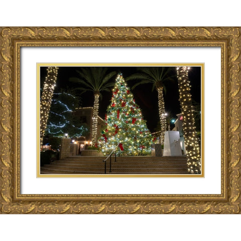 USA-Arizona-Buckeye-Christmas tree in the village square at night Gold Ornate Wood Framed Art Print with Double Matting by Jaynes Gallery
