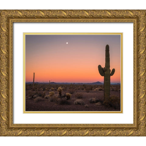 USA-Arizona-Kofa National Wildlife Area-Mountain and desert landscape at sunset Gold Ornate Wood Framed Art Print with Double Matting by Jaynes Gallery