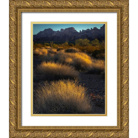 USA-Arizona-Kofa National Wildlife Area-Mountain and desert landscape at sunrise Gold Ornate Wood Framed Art Print with Double Matting by Jaynes Gallery