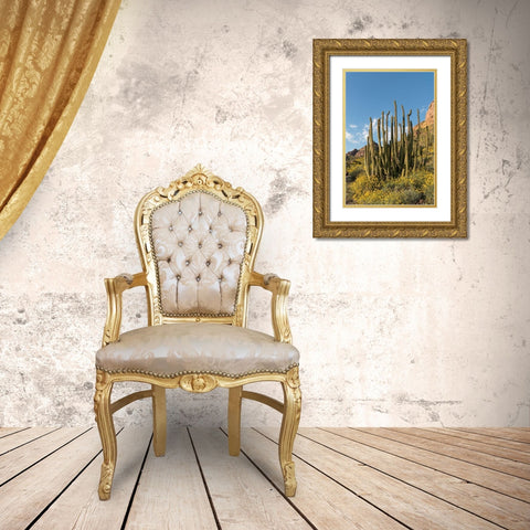 Arizona A landscape of Organ pipe cactus and blooming Brittlebush in Organ Pipe National Monument Gold Ornate Wood Framed Art Print with Double Matting by Tharp, Brenda