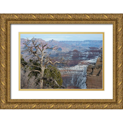 Powell Point-Grand Canyon National Park-Arizona-USA Gold Ornate Wood Framed Art Print with Double Matting by Reynolds, Gerry