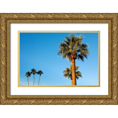 Palm trees-Carefree-Arizona Gold Ornate Wood Framed Art Print with Double Matting by McRoberts, Julien
