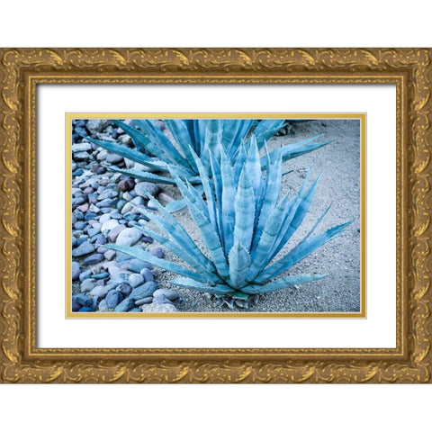 Desert cactus-Carefree-Arizona Gold Ornate Wood Framed Art Print with Double Matting by McRoberts, Julien
