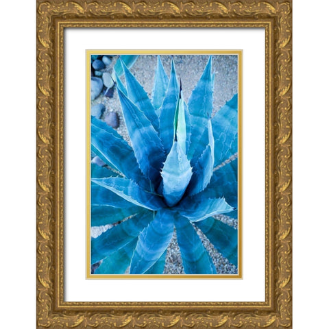 Desert cactus-Carefree-Arizona Gold Ornate Wood Framed Art Print with Double Matting by McRoberts, Julien