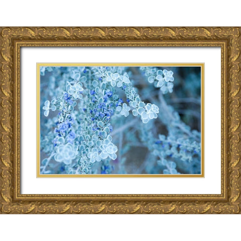 Desert cactus-Carefree-Arizona Gold Ornate Wood Framed Art Print with Double Matting by McRoberts, Julien