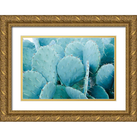 Desert cactus-Carefree-Arizona Gold Ornate Wood Framed Art Print with Double Matting by McRoberts, Julien