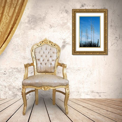 Desert cactus-Carefree-Arizona Gold Ornate Wood Framed Art Print with Double Matting by McRoberts, Julien