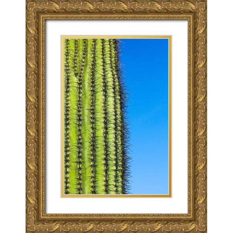 Desert cactus-Carefree-Arizona Gold Ornate Wood Framed Art Print with Double Matting by McRoberts, Julien
