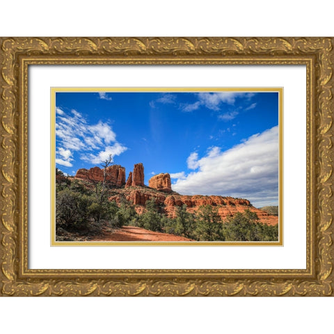 Sedona- Arizona. Cathedral Rock trailhead Gold Ornate Wood Framed Art Print with Double Matting by Sienda, Jolly