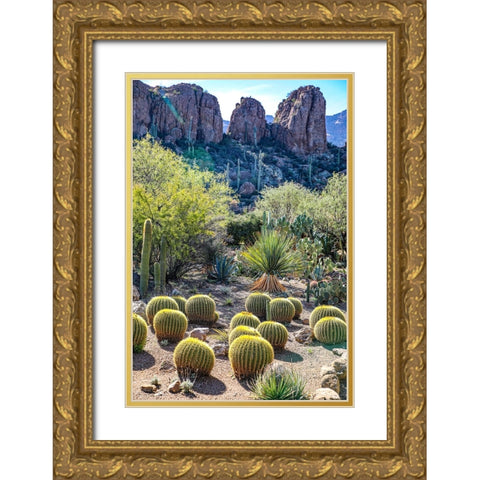 Arizona- USA. Saguaro Cactus Gold Ornate Wood Framed Art Print with Double Matting by Sienda, Jolly