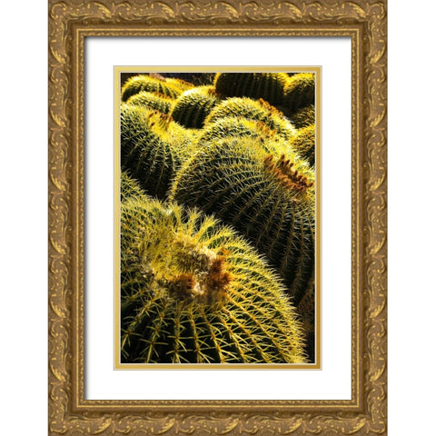 Apache Junction- Arizona- USA. Cactus Gold Ornate Wood Framed Art Print with Double Matting by Sienda, Jolly
