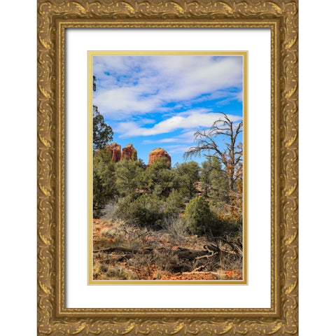 Sedona- Arizona- USA. Cathedral Rock- red rock formations Gold Ornate Wood Framed Art Print with Double Matting by Sienda, Jolly