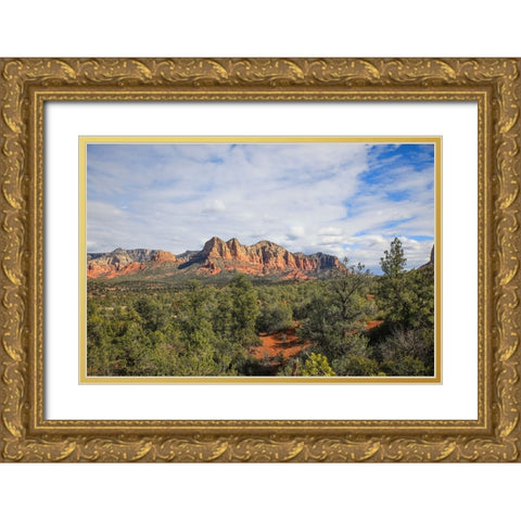 Sedona- Arizona- USA. Sedona red rocks formations Gold Ornate Wood Framed Art Print with Double Matting by Sienda, Jolly