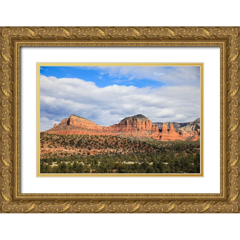 Sedona- Arizona- USA. Cathedral Rock- red rock formations Gold Ornate Wood Framed Art Print with Double Matting by Sienda, Jolly