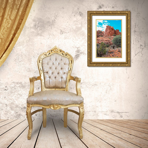 Sedona- Arizona- USA. Red rock formations Gold Ornate Wood Framed Art Print with Double Matting by Sienda, Jolly