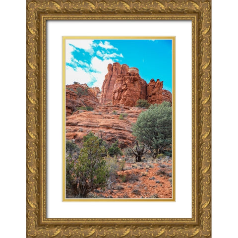 Sedona- Arizona- USA. Red rock formations Gold Ornate Wood Framed Art Print with Double Matting by Sienda, Jolly