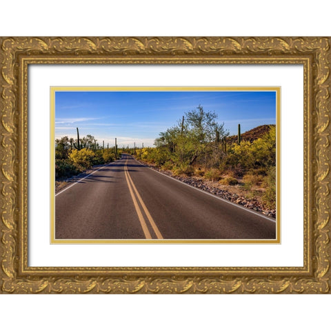 Arizona-Tucson-Saguaro National Park Gold Ornate Wood Framed Art Print with Double Matting by Hawkins, Peter