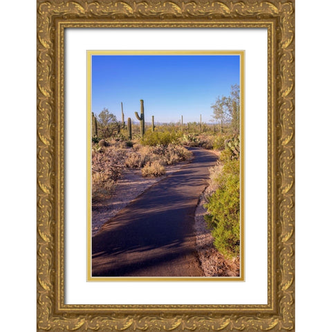 Arizona-Tucson-Saguaro National Park Gold Ornate Wood Framed Art Print with Double Matting by Hawkins, Peter