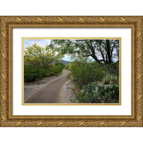 Arizona-Tucson-Saguaro National Park Gold Ornate Wood Framed Art Print with Double Matting by Hawkins, Peter