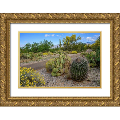 Arizona-Tucson-Saguaro National Park Gold Ornate Wood Framed Art Print with Double Matting by Hawkins, Peter